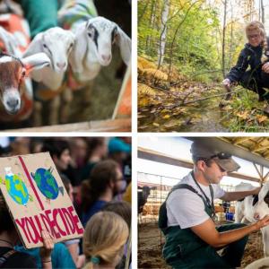 (Image courtesy University of Maine Cooperative Extension)