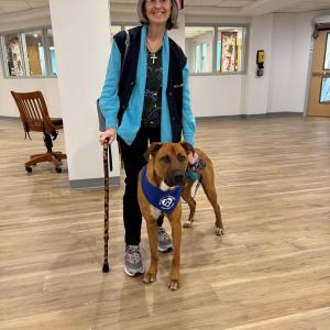 MaineHealth Waldo Hospital’s new pet therapy dog Jamison, with handler Mary Anne Riley, ready to greet patients inside the hospital. (Photo courtesy MaineHealth)