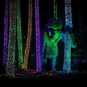 Past Gardens Aglow. (Photo courtesy Mike Leonard) Past Gardens Aglow. Photo courtesy Mike Leonard