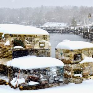 Traps, Rockport Harbor, Lynda Clancy file photo