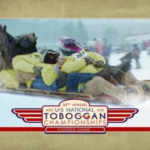 toboggan poster