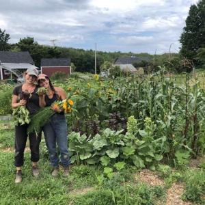 Erickson Fields' Community Garden courtesy of MCHT
