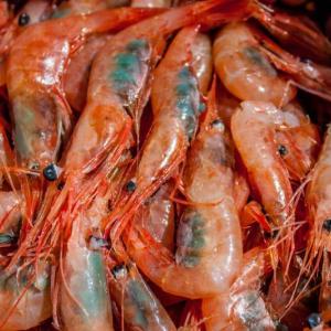 Photo courtesy Port Clyde Fresh Catch