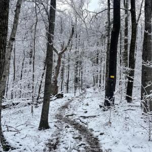 Cameron Mountain Trail. (Photo courtesy Coastal Mountains Land Trust)