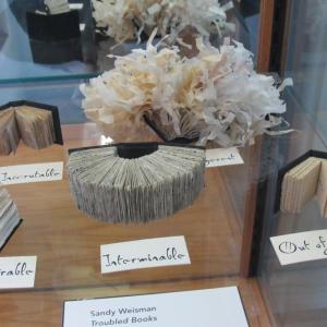 Sandy Weisman of South Thomaston, one of the book artists involved, created a gallery of tiny books called "Troubled Books." 