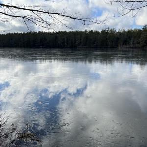 (Photo courtesy Washington Lakes Watershed Association) (Photo courtesy Washington Lakes Watershed Association)