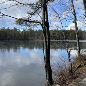 (Photo courtesy Washington Lakes Watershed Association)