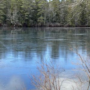 (Photo courtesy Washington Lakes Watershed Association)