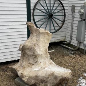 Massive Rock