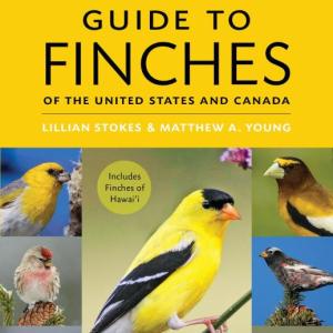Among the fresh, new avian volumes this year is one co-authored by the authors' old friend from their days at the Cornell Lab of Ornithology. Among the fresh, new avian volumes this year is one co-authored by the authors' old friend from their days at the Cornell Lab of Ornithology.
