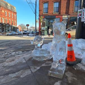 Belfast Ice Festival (photo by Erica Thoms)