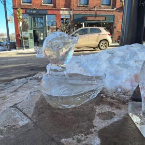 Belfast Ice Festival (photo by Erica Thoms)