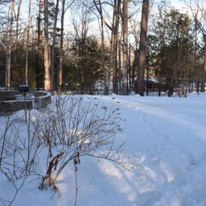 The walk-around in deep snow. (Photo by Sarah Thompson)