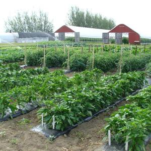 Highmoor Farm by David Handley. (Highmoor Farm courtesy University of Maine Cooperative Extension) Highmoor Farm by David Handley. (Highmoor Farm courtesy University of Maine Cooperative Extension)