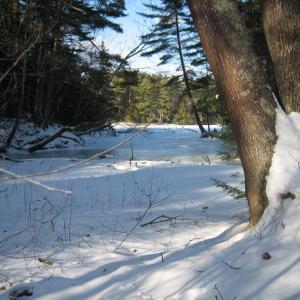 McLellan Poor Preserve. (Photo courtesy Coastal Mountains Land Trust)