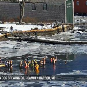 SeaDog Camden Harbor Activity Cam capturing the Polar Plunge. Photo courtesy StreamState