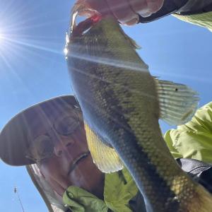 Ray W. Fink Jr.