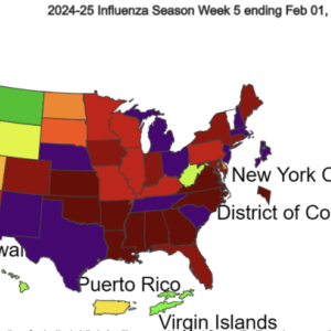 U.S. flu