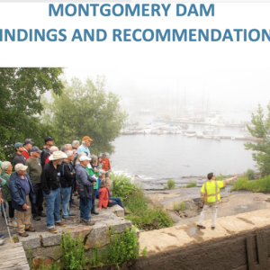 dam report