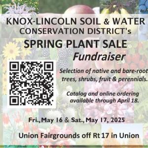 Plant sale poster
