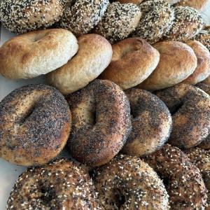 Union St bagels. (Photo courtesy Rockport Public Library)