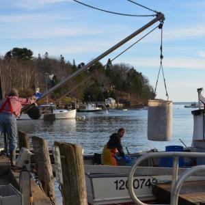 rockport harbor 2013