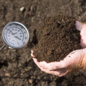 (Photo courtesy University of Maine Cooperative Extension / Edwin Remsberg)