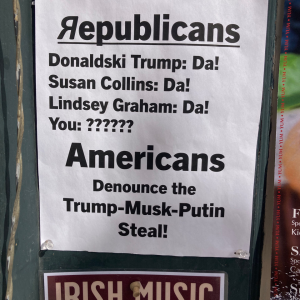 (Image courtesy Molly Mulhern)