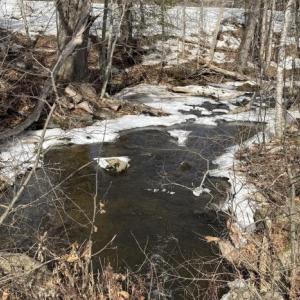 Frohock Brook has begun flowing again, and soon will be roaring through the woods. (Photo by Ed O’Brien) Frohock Brook
