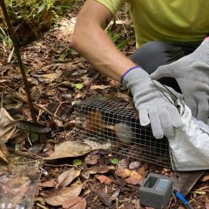 Eric Brown checks out a recently-acquired squirrel. (Photo courtesy Merryspring Nature Center)