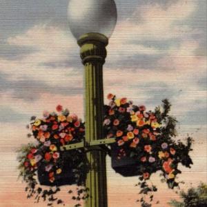 Lamppost Baskets-Circa 1925-Compliments of the Camden Garden Club. (Photo courtesy Camden Garden Club)