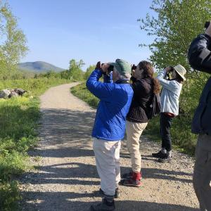 Ann Boover leads a bird walk at Beech Hill. (Photo courtesy Friends of Maine Coastal Islands National Wildlife Refuge)