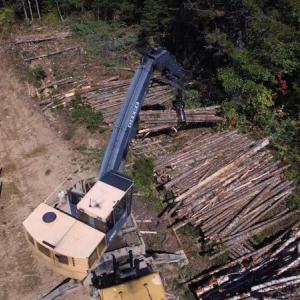 cut timber being loaded onto a flatbed.