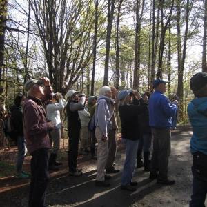 Bird watching at Merryspring. (Photo courtesy Merryspring Nature Center)