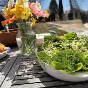 A Sunny Day in Spring and a Picnic Shared While Speaking with the Innovators of Four Season Farm-A Dream Fulfilled Lunch on the terrace with a beautiful salad and a Four Season Farm green house bouquet-