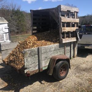 Hulls Taken to the Compost