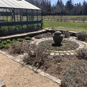 Barbara hand set every stone in the ring garden complete with the lanvender, wild-thyme and sage. The scent, even in the eary spring fills the head.