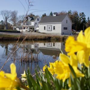 Spring in Southport