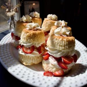 Fresh strawberry shortcake