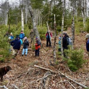 group of people in a forest.
