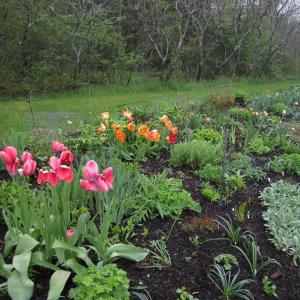 Springtime garden at Merryspring. (Photo courtesy Merryspring Nature Center)