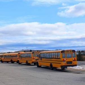 School buses. (Photo by Elias Twitchell)