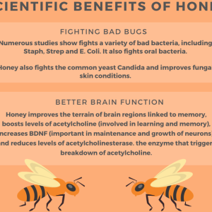 Honey benefits infographic