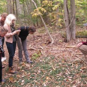 A recent ecology walk at Merryspring. (Photo courtesy Merryspring Nature Center)