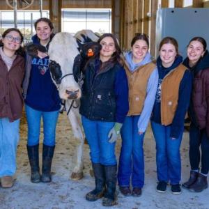 Several University of Maine students and Dancer the cow pose for a photo during the grand opening ceremony of the new robotic milking barn Witter Farm. (Photo courtesy University of Maine)