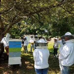 (Photo courtesy Merryspring Nature Center) (Photo courtesy Merryspring Nature Center)