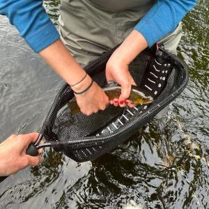 A small brookie caught by a beginning angler last spring on the St. George. (Photo courtesy Carmen Bombeke)