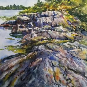 Coastal Ledge - Heinzen. (Photo courtesy Maine Coastal Islands National Wildlife Refuge Visitor Center)
Coastal Ledge - Heinzen. (Photo courtesy Maine Coastal Islands National Wildlife Refuge Visitor Center)
