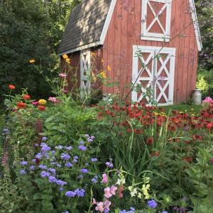 A well-tended home garden. (Photo courtesy Merryspring Nature Center) A well-tended home garden. (Photo courtesy Merryspring Nature Center)