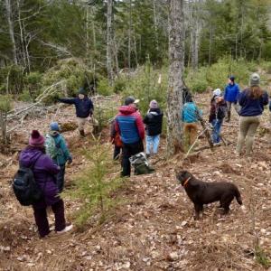 a group of students in a forest